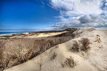 Duinen bij Kijkduin van Jan Kranendonk