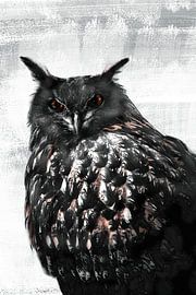 Eule von Pixel4ormer