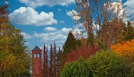 Blauer Himmel und herbstlich gefärbte Ernte von Jolanda de Jong-Jansen