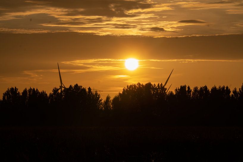 evening sun by Maaike Krimpenfort
