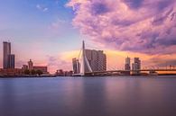 Rotterdamer Blick auf die Erasmus-Brücke von Dennisart Fotografie Miniaturansicht