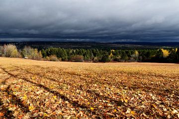 Un champ après les récoltes de l'automne sur Claude Laprise