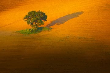Landschapsfoto van een klassiek Toscaans landschap in de heuvels van Toscane van Bas Meelker