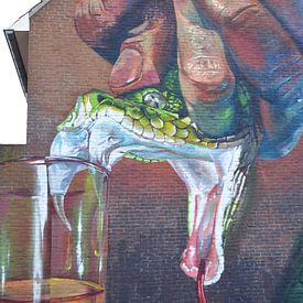 Extracting venom from a snake, Street Art by Telmo Miel by My Footprints