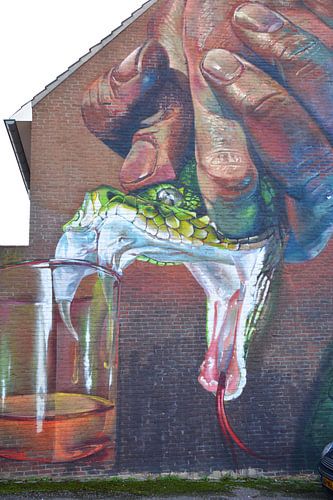 Gif melken bij slang, Street Art Telmo Miel