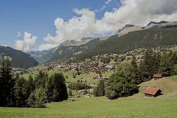 Zicht op Grindelwald