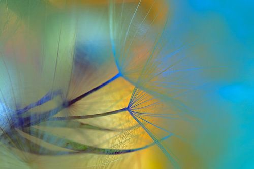 Luxuriance