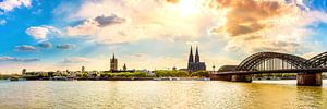 Köln im Sommer