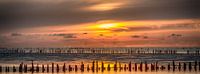 Wadden