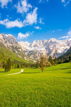 Alpine valley view during springtime