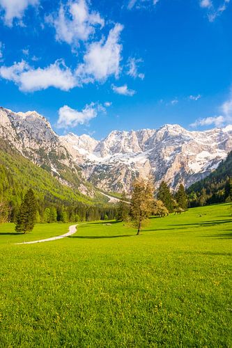 Vue de la vallée alpine au printemps