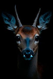 Deer by Poster Art Shop