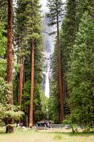 Yosemite waterval gezien tussen de bomen door.