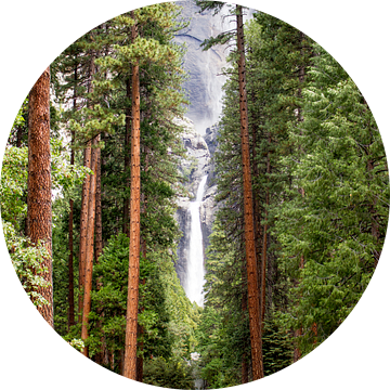 Yosemite waterval gezien tussen de bomen door.