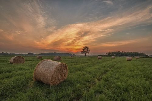 Hooirollen bij zonsondergang