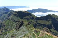 Madeira landscape