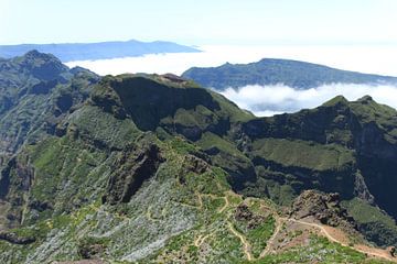 Madeira landschap van Photo Pim