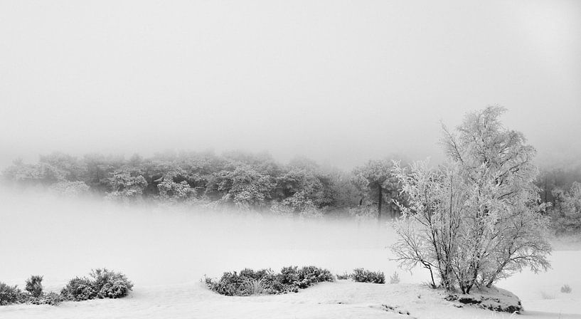Winter mist van Robin Voorhamm