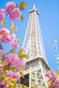 Spring in Paris van Jelmer Jeuring