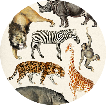 Safari Dieren Collectie van Gal Design