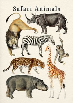 Safari Dieren Collectie van Gal Design