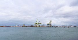 Maasvlakte Industrie sieht Containerkräne von Bopper Balten