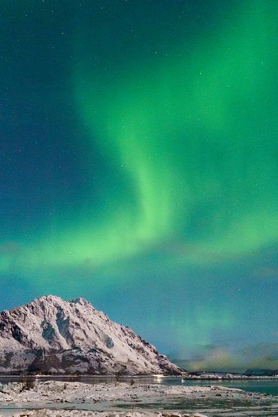 Nordlichter | Lofoten, Norwegen von Suzanne Spijkers