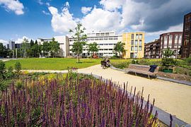 Rathaus von Veenendaal von Albert Lamme