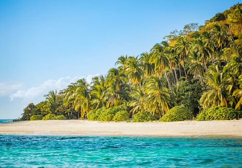 Paradise Beach with Palm Trees in the Philippines - Tropical Wall Decoration by Michiel Ton