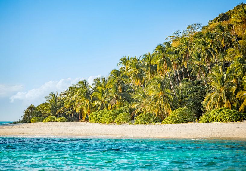 Paradiesischer Strand mit Palmen auf den Philippinen - Tropische Wanddekoration von Michiel Ton