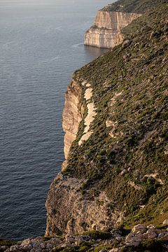 kustlijn van malta bij Dingli kliffs van Eric van Nieuwland