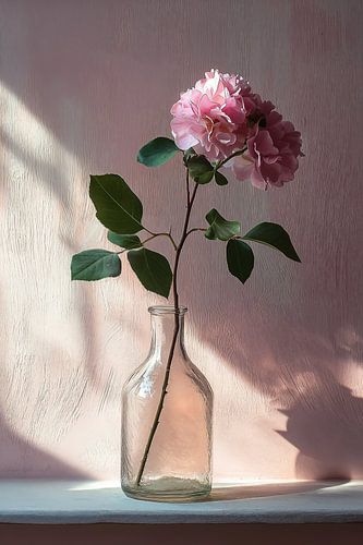 Pink Rose in morning light