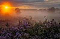 lever de soleil aux Pays-Bas