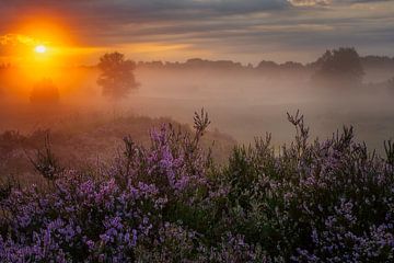 zonsopkomst in Nederland van Danielle de Graaf