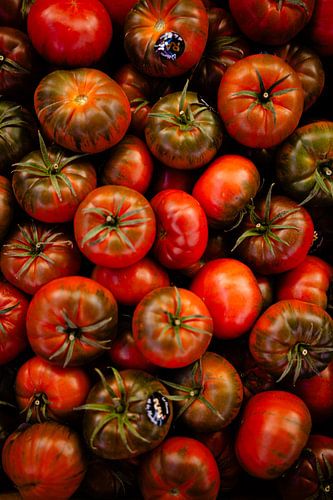 Rhythm in Red by Jarne van Laar