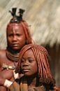 Himba van Antwan Janssen thumbnail