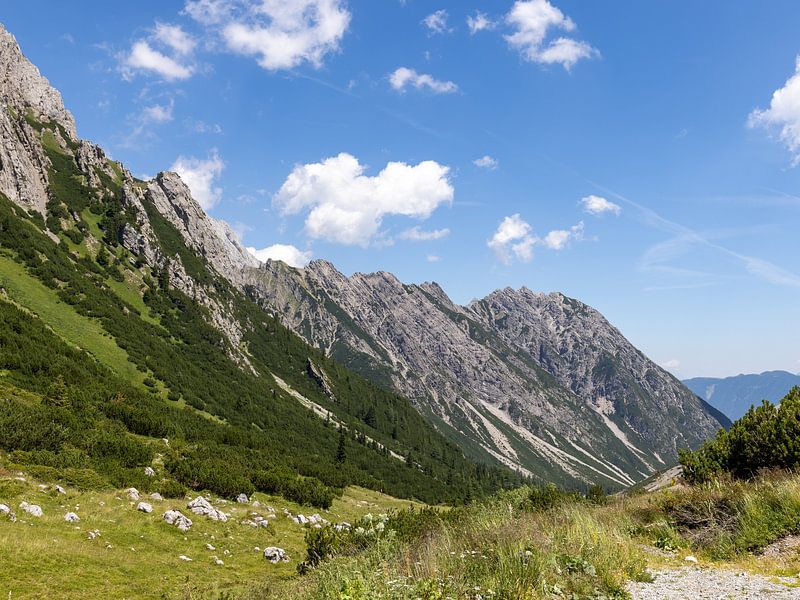 Bij de Hahntennjoch van Teresa Bauer