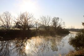 In fog on the Saale by Karina Gebert