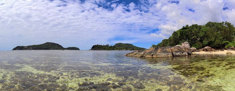 Fantastic beach with palm tree in the Seychelles by MPfoto71