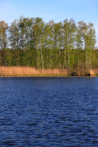 Evening at the lake by Thomas Jäger