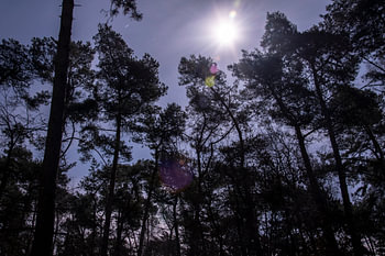 Nationaal Park De Loonse en Drunense Duinen