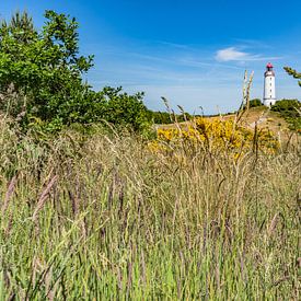 Leuchtturm Am Dornbusch, Insel Hiddensee von GH Foto & Artdesign