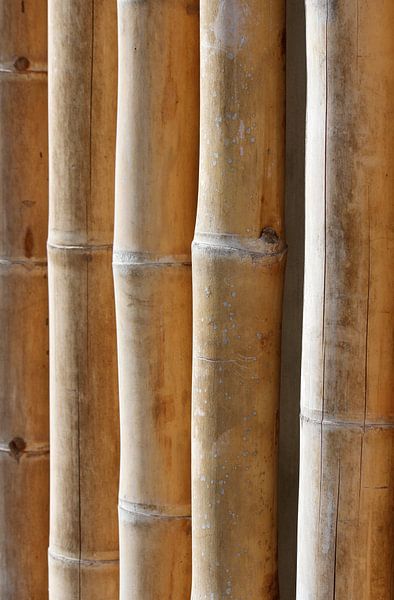 Strukturen von Heike Hultsch