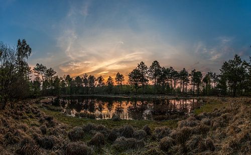 Forest lake by Tjeerd Visser