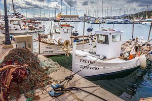 Fischerboote im Hafen von Port de Pollenca, Mallorca