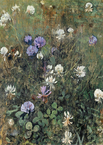 Klaverbloemen (portretuitsnede), Jac van Looij