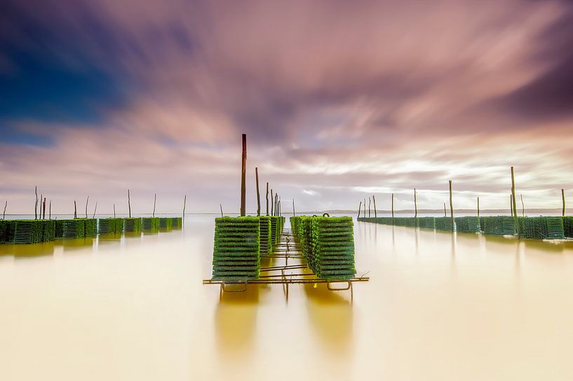 Oyster Park van Arnaud Bertrande