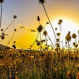 Sardegna by Jeroen Rosseels