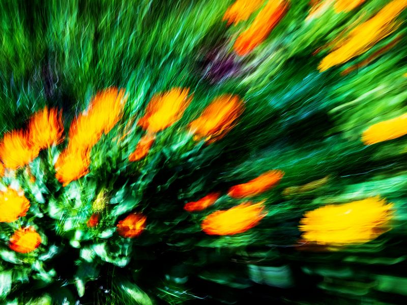EVEIL DU PRINTEMPS # 42 par JORG BECKER