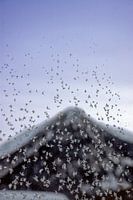 L'hiver à Davos, Suisse